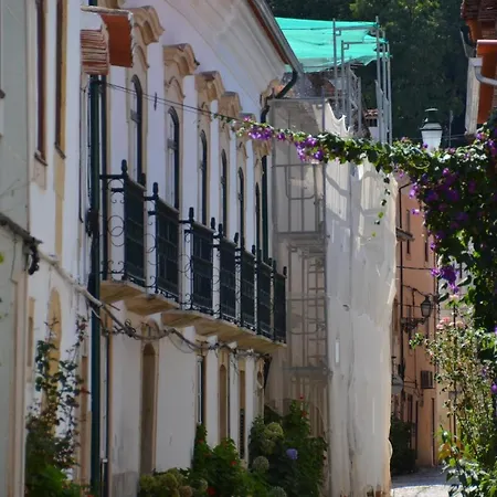 Casa Do Avô Serra Casa de Férias