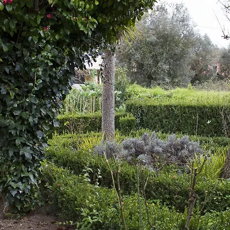 Casa de Férias Casa Do Avô Serra *