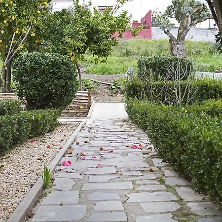 Casa Do Avo Serra 莱里亚