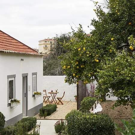 Casa Do Avô Serra *