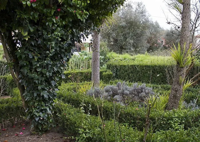 Semesterbostad Casa Do Avo Serra *