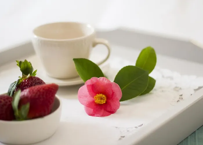 Semesterbostad Casa Do Avo Serra Leiria